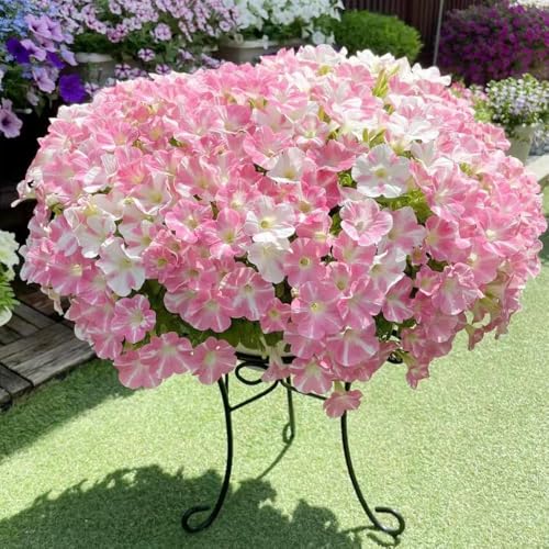 30 pezzi semi di petunia - perenne resistenti, di balcone balcone, semi di bonsái primavera selvatica