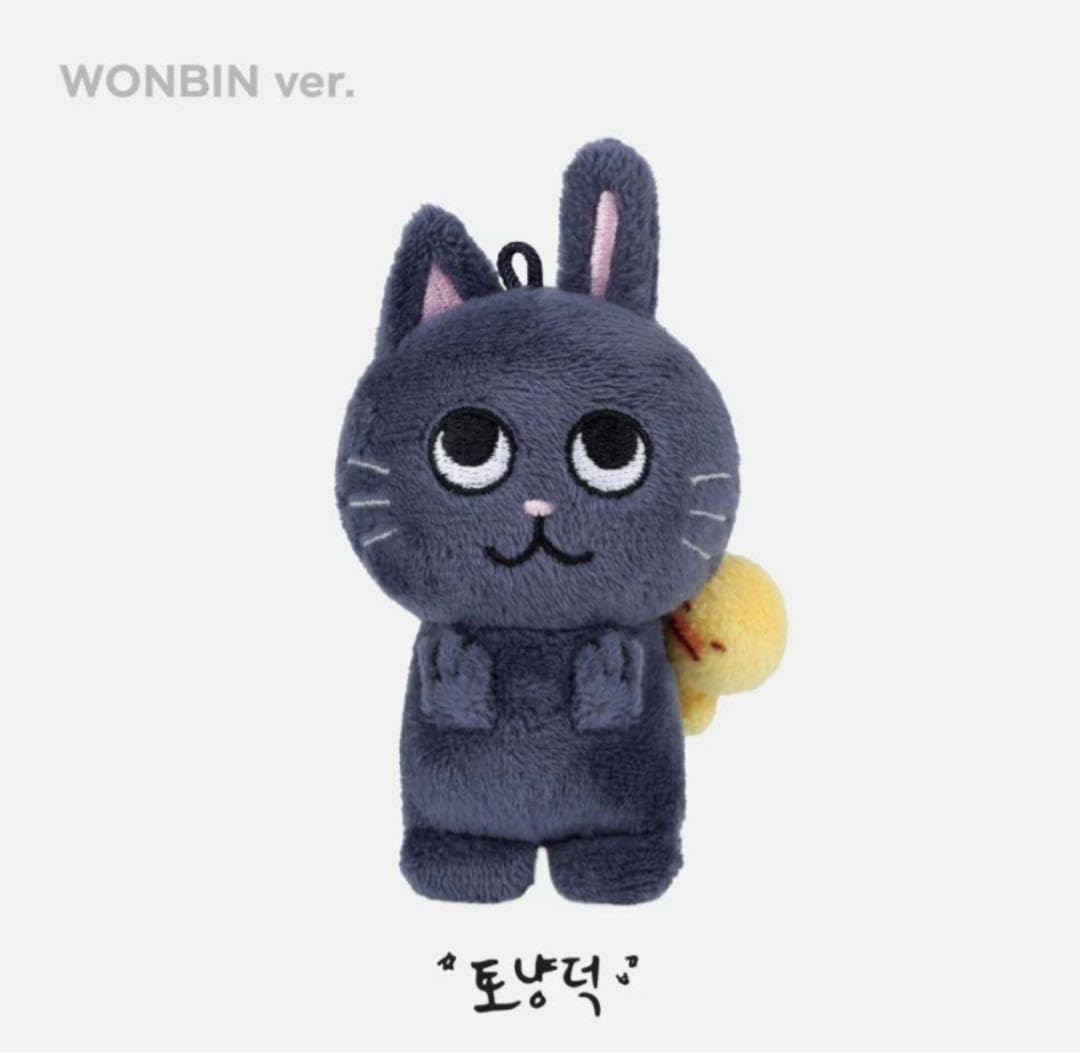 Amazon.co.jp: riize ウォンビン バレンタインぬい ??? トニャンドク 