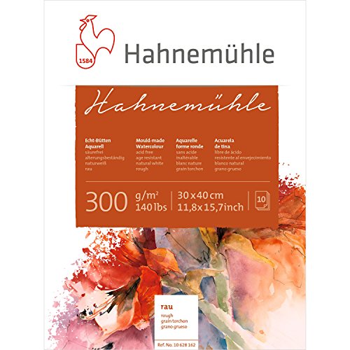 Carton Aquarelle Hahnemühle 300g rugueux bloc 10f 30x40 pour lavis