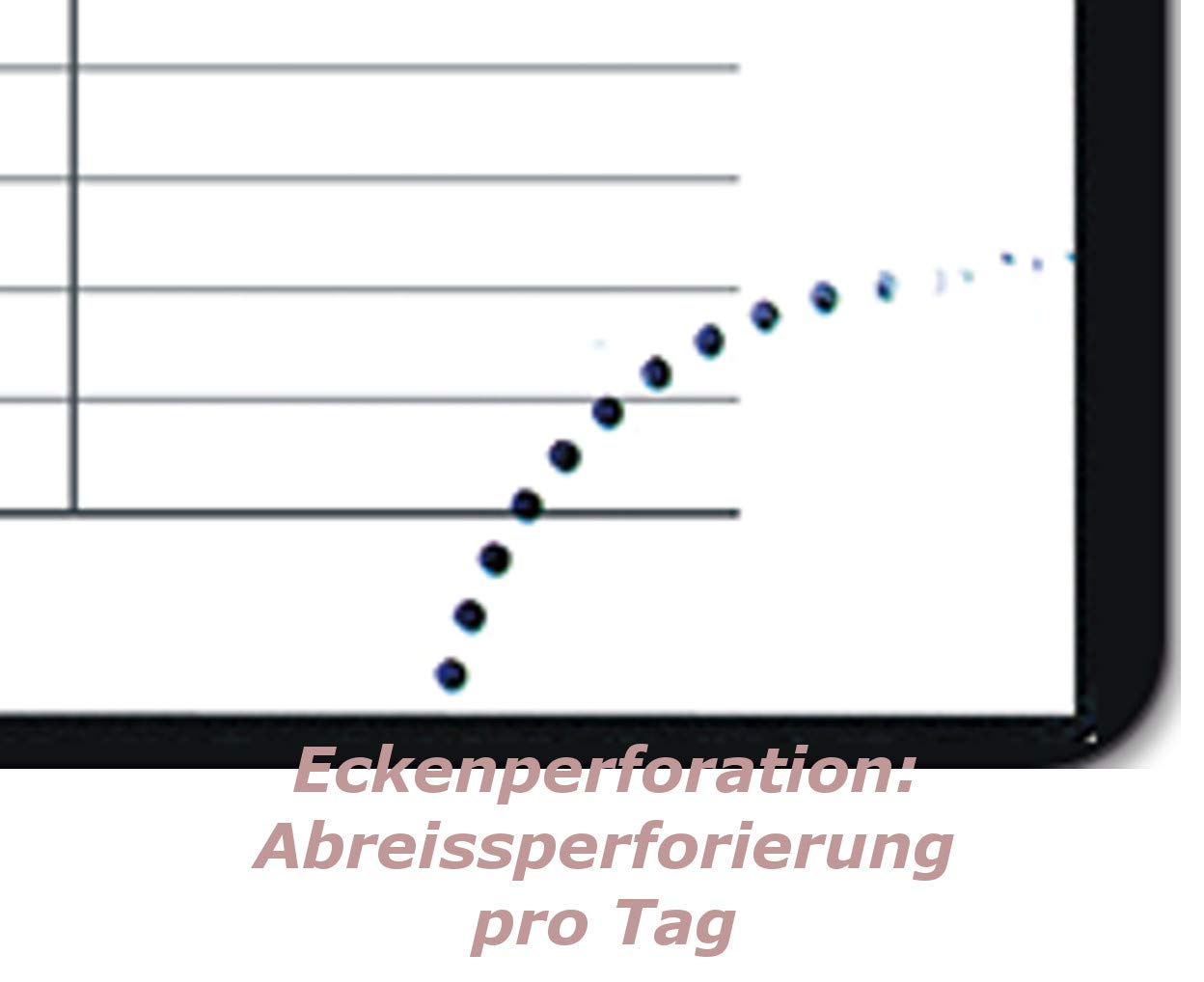 GÜSS Planungsbuch, DIN A4, 1 Tag = 2 Seiten