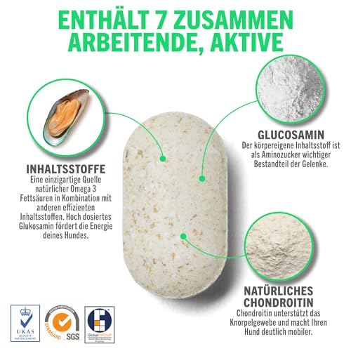 JOINTSURE Young + Active Joint Supplements für Hunde - Dreifache Formel mit Grünlippmuschel & Glucosamin zur Hundegelenkpflege (300)