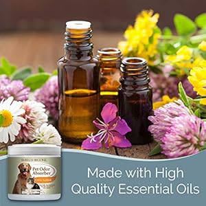 SMELLS-BEGONE-Air-Freshener-Pet-Odor-Absorber-Gel-15-oz-Pack-of-2-Absorbs-and-Eliminates-Odor-in-Pet-Areas-Bathrooms-Cars-Boats-Made-with-Essential-Oils-Citrus-Scent - Cucciolini Doodles   SMELLS-BEGONE-Air-Freshener-Pet-Odor-Absorber-Gel-15-oz-Pack-of-2-Absorbs-and-Eliminates-Odor-in-Pet-Areas-Bathrooms-Cars-Boats-Made-with-Essential-Oils-Citrus-Scent