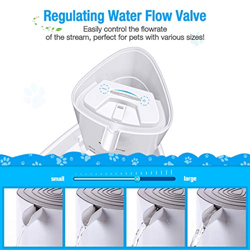 isyoung cat fountain