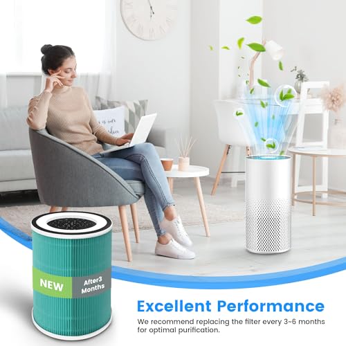 Image of 2 Pack True HEPA Kilo Filter Replacement for Afloia Kilo, KILOPLUS, KILOPRO, MIRO, MIRO PRO and MORENTO MR-Kilo, Kalo, H13 True HEPA Filter, 360 3-Stage Filtration, Green