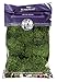 Supermoss Mood Moss Preserved Natural Green 1200cuin