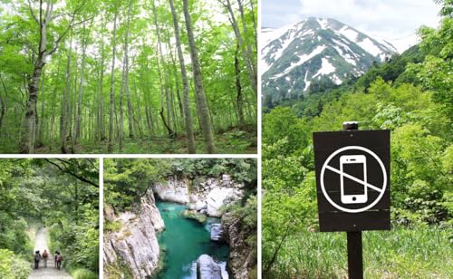 小国デジタルデトックスツアー(1名様分)