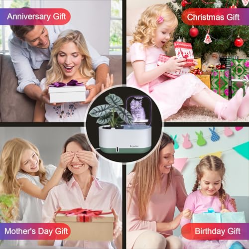 50% Off Self-Watering Plant Pot with LED Note Board & Night Light