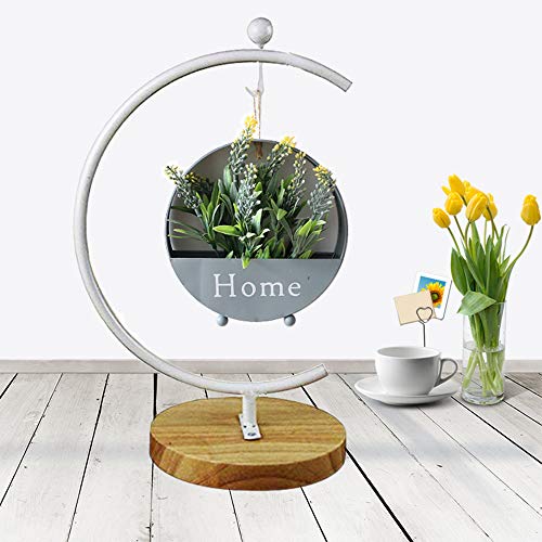 Archi G-Shaped Ornament Display Stand Iron Pothook Stand For Hanging Glass Terrarium/Picture With Wood Base(G Shape-White) #TOP4