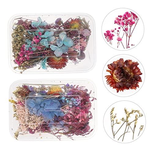 Kit Mini Flores Secas Naturales para Manualidades miniatura 3