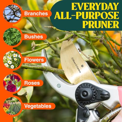 Image of Haus & Garten ClassicPRO 8.5 inch Premium Titanium Bypass Garden Shears - Use as Pruners, Pruning Shears for Gardening, Hand Pruners, Handheld Garden Clippers, Scissors for Women
