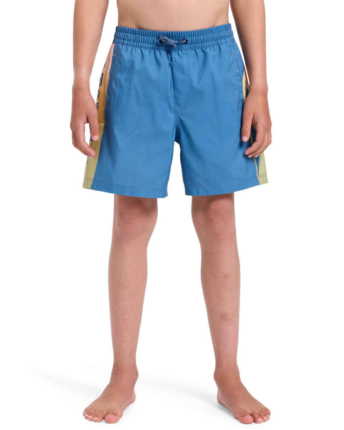 Quiksilver Boardshorts Everyday Holmes Volley YTH14 Youth Blue 8