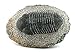Large 1 LB 10.8 OZ Reproduction Trilobite Fossil Host Rock Morocco EBS7875