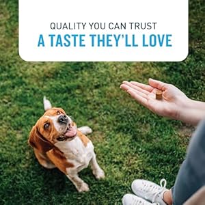 VetIQ-Glucosamine-Hip-Joint-Supplement-for-Dogs-180-Soft-Chews-Dog-Joint-Support-Supplement-with-MSM-and-Krill-Dog-Health-Supplies-Large-Small-Breed-Chicken-Flavored-Chewables - Cucciolini Doodles   VetIQ-Glucosamine-Hip-Joint-Supplement-for-Dogs-180-Soft-Chews-Dog-Joint-Support-Supplement-with-MSM-and-Krill-Dog-Health-Supplies-Large-Small-Breed-Chicken-Flavored-Chewables