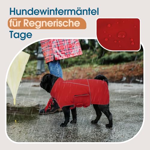 Katzinst Hundejacke Wasserdichter, Warmer Hundejacke für Große Hunde, Hundemantel Fleece, Winterjacke mit Reflektierender Streifen Französische Bulldogge Cheng Rot L