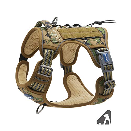 Best Leather Small Dog Harness