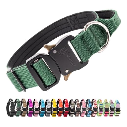 TSPRO Premium Dog Collar with Handle Thick Dog Collar Adjustable Dog Collar Heavy Duty Quick-Release Metal Buckle Dog Collar for Small or Medium to Extra Large Dogs(M-Green)