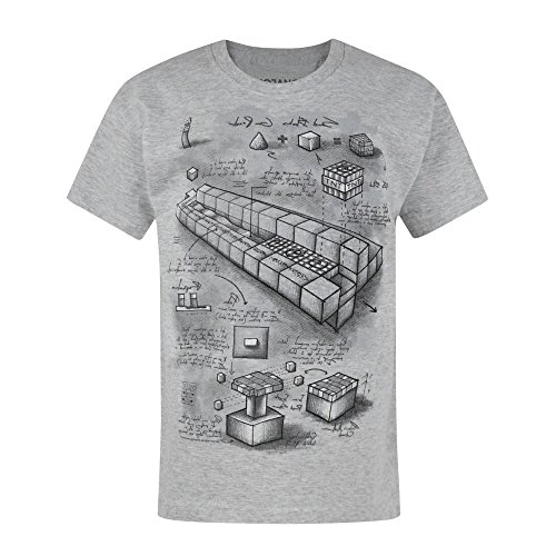 Preisvergleich Produktbild Jungen - Minecraft - Minecraft - T-Shirt (5-6 Jahre)