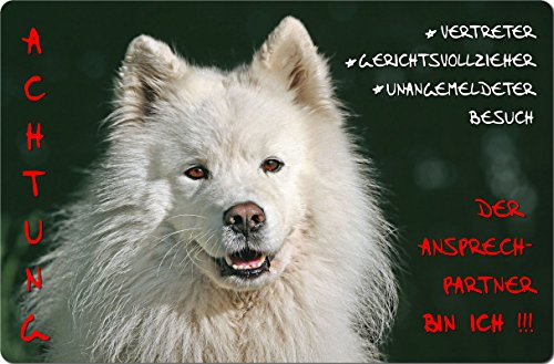 Preisvergleich Produktbild +++ SAMOJEDE Samoyede Schlittenhund - Metall WARNSCHILD Schild Hundeschild Sign - SMJ 01 T10