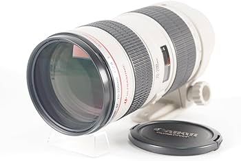 Amazon.com : Canon EF 70-200mm f/2.8L USM Telepho - International