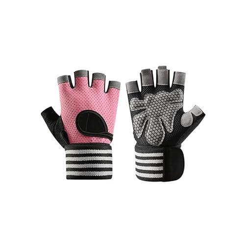 g[jOO[u Xgbv  ی T|[^[ Ռz ~ ʋC ؃g EGCgg[jO _x x`vX X|[c W  (sN, XL)