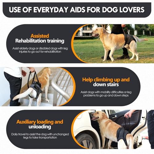 PAWIVID Verstellbares Hundegeschirr für Hinterbein–Stützgeschirr/Schlaufe mit Tragehilfe &Griff für Behinderte, Verletzte & ältere Kleine Mittlere Große Hunde–Mobilitätshilfe & Hebegurt (Grau, M)