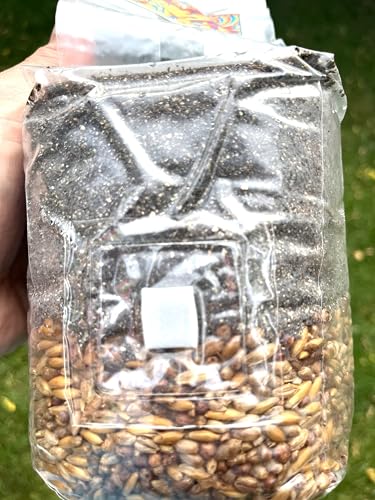 SPAWN DADDY 2 lb All-in-One Mushroom Grow Bag Sterilized Triple Grain (Red Milo Oats Rye) with CVG Substrate & Azomite Micronutrients Ready to Use for Manure Loving Mushrooms