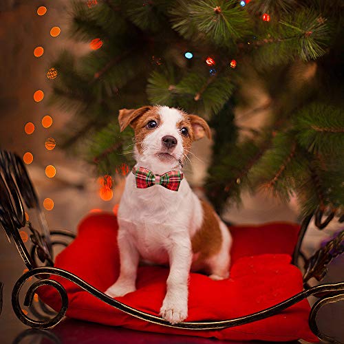 Elegant little tail Hundehalsband, Komfortables Hundehalsband mit Schleife, Herbst Haustierhalsband Verstellbare Hundehalsbänder für kleine, mittlere und große Mädchen- oder Jungenhunde