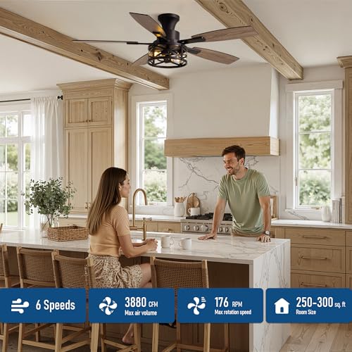 Image of 50 Inch Flush Mount Black Caged Ceiling Fan with Lights, Low Profile Farmhouse Ceiling Fan for Bedroom Living Room and Patio, Ceiling Fans and Remote Control for Indoor and Outdoor