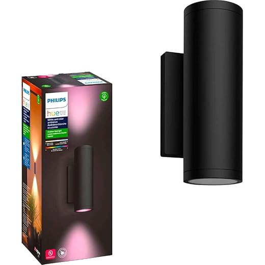 Philips Hue White & Color Ambiance Appear Outdoor Wall Light Fixture (Hue Hub Required, Works with Alexa, Apple Homekit & Google Assistant), Black