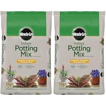 Top Indoor Plant Soil Mixes That Will Transform Your Greenery 3 best indoor plant soil mix