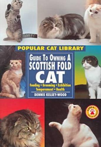  Scottish Fold Cat
