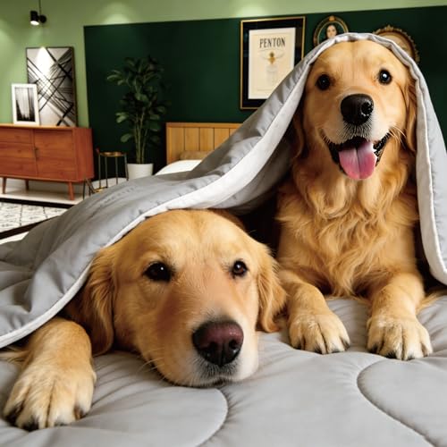 Image of Seward Park Cooling Comforter Full /Queen Size, All Season Reversible Cooling Blanket for Night Sweats, Cold Touch Fabric for Hot Sleepers, Breathable Lightweight for Summer, Black /Grey, 86x92 Inches