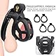 3.0 Keuschheitskäfig Herren,3D Peniskäfig mit 4 Hodenringe Penis Ring,Chastity Cage Male,BDSMs Spielzeug Hart,Keuschheitsgürtel für Herren,Cock Cage Sex Spielzeug für die Männer Extrem (S)