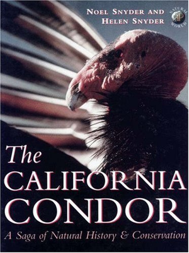 The California Condor: A Saga of Natural History and Conservation (Ap Natural World)