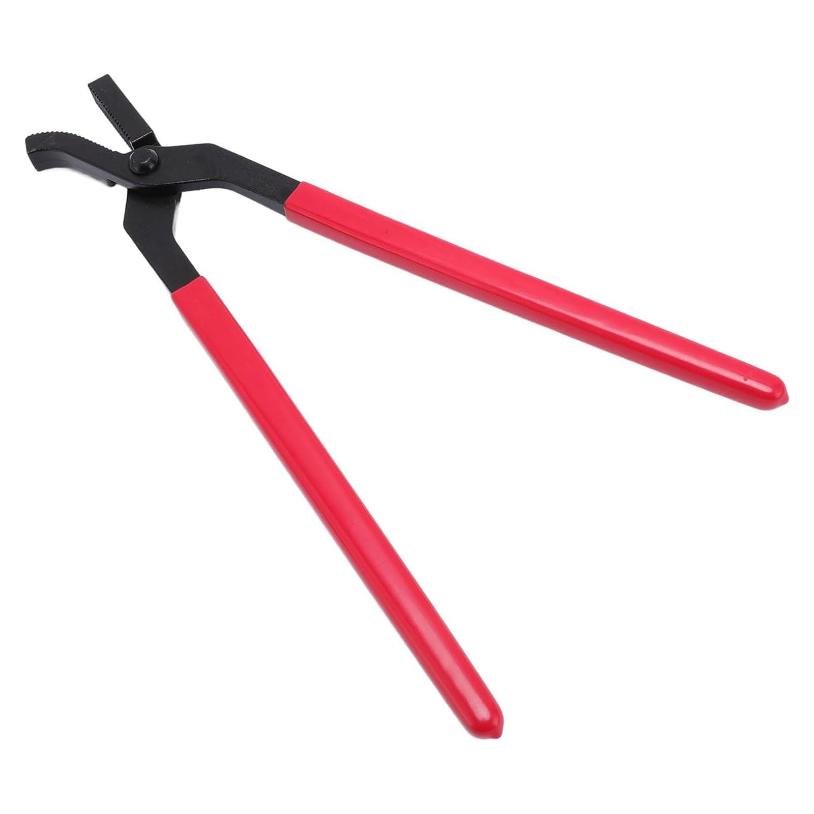 Strumento professionale di taglio dello zoccolo del cavallo dell'acciaio inossidabile Chiodi dello zoccolo del cavallo Clincher Zoccolo del cavallo Nipper Attrezzatura del cavallo