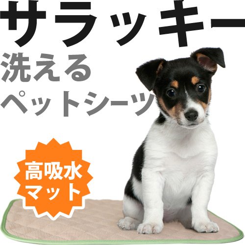 洗えるキルティングペットシート「サラッキー」 Amazon.co.jp: 洗えるキルティングペットシーツ「サラッキー」（L