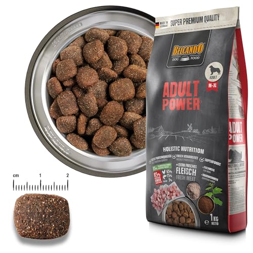 BELCANDO Adult Power [12,5 kg] Hundefutter | Trockenfutter für sehr aktive Hunde, Sporthunde & Zuchthündinnen | Alleinfuttermittel für ausgewachsene Hunde ab 1 Jahr