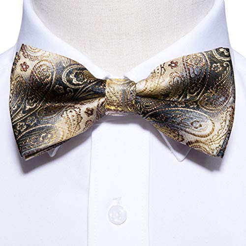 Image of Barry.Wang Paisley Striped Bow Tie for Men Silk Pre-Tied Bowtie Pocket Square Cufflinks Set Formal Wedding Party Prom