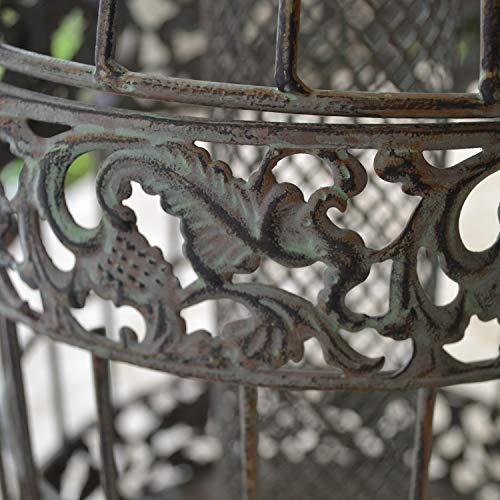 Westcharm 13 In. Caged Squirrel Proof Bird Feeder For Small Songbirds, Tall Rustic Metal Hanging Bird Feeder For Garden, Mesh Peanut Bird Feeder For Patio Yard - Verdigris 3.5 Cups Seed Capacity #TOP7