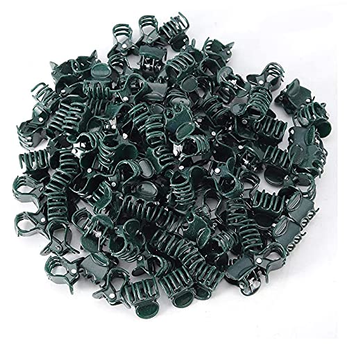 BINGXIN AxNbv UNbv 50Zbg AT|[g oh | _Ɨp Nbv m g}gȂǗp Œp