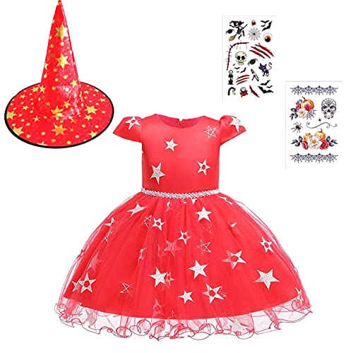 [y`hcd`]  hX q nEB ߑ ^gD[V[t 3_Zbg  p[eB[ NX}X ( 120)