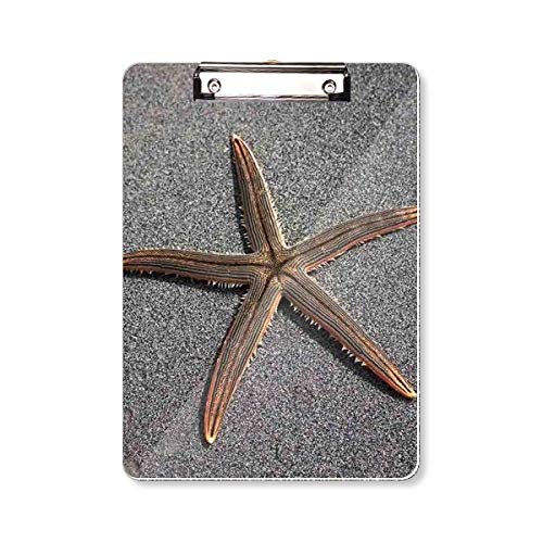 Porte-bloc mural gris avec pince A4 motif étoile de mer pour bureau
