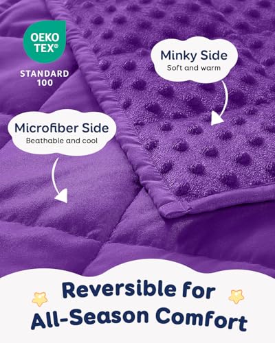 Image of Kivik 2 lbs Weighted Lap Pad, Ultra Soft Minky Dotted Heavy Blankets Throw for Better Study Relaxing & Sleeping, Machine Washable, 20 x 30 Inches, Purple