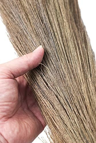 CHAND SURAJ ® Raver Grass Broom Stick Phool Jhadu for Floor Cleaning with Plastic Handle (Multicolour, 43 inches Long (1) Hard Floor