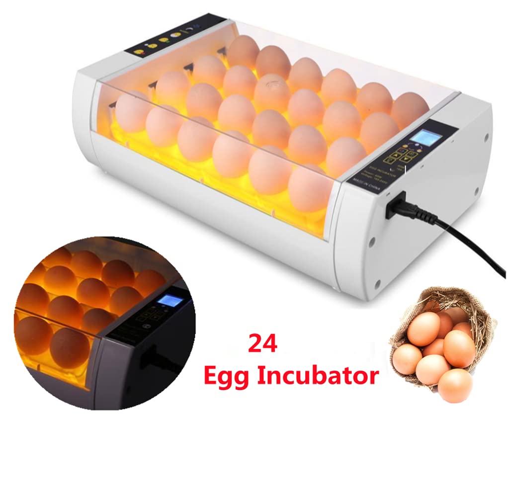Incubatrice per Uova da Cova Macchina per Incubatoio Intelligente con Luce A LED Completamente Automatica Trasparente per Pulcini D'Oca di Quaglia