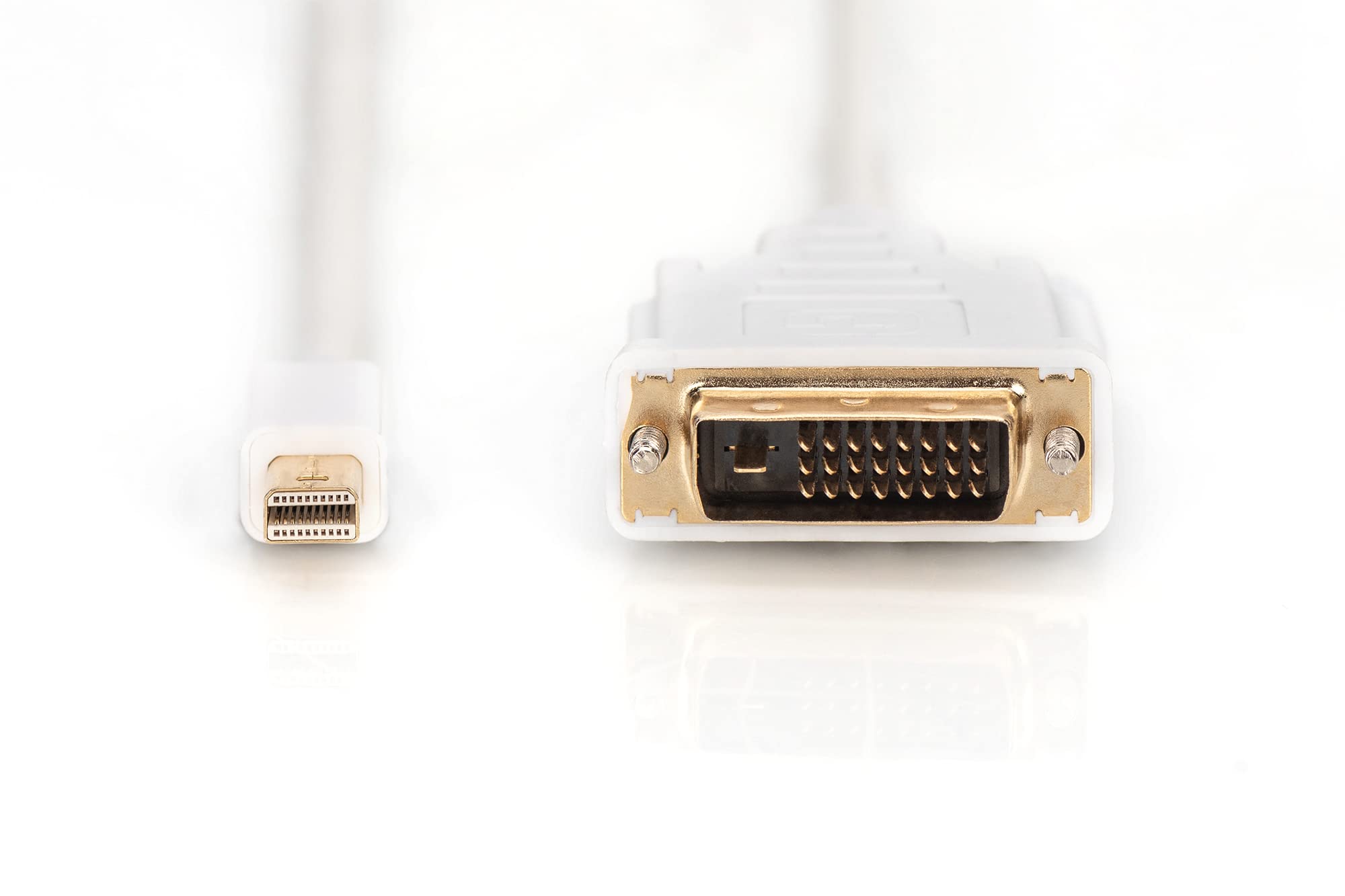 Digitus AK-340305-020-W - Cable adaptador de mini DisplayPort a DVI-D (24+1, 2 m), color blanco