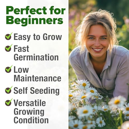Image of HOME GROWN German Chamomile Seed Pack - 4,560 Heirloom Seeds for Planting for Sustainable Gardens and Soothing Medicinal Herbal Teas (Matricaria chamomilla)