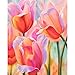 Produktbild LIUJUNH Schöne Blumen DIY Malen nach Zahlen Erwachsene Kit Öl Acrylfarben Leinwandbilder Wandbilder NBN03 40x50cm