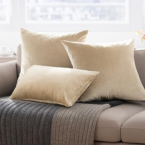 Phantoscope Pack of 2 Velvet Decorative Throw Pillow Covers Soft Solid Square Cushion Case for Couch Shiny Beige 12 x 20 inches 30 x 50 cm