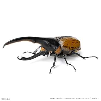 いきもの大図鑑 かぶとむし07　ヘラクレス・リッキー改（オレンジ） 51q4kGAsp-L._UF350,350_QL50_.jpg